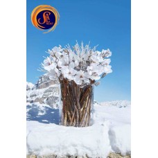 Гілки для композицій